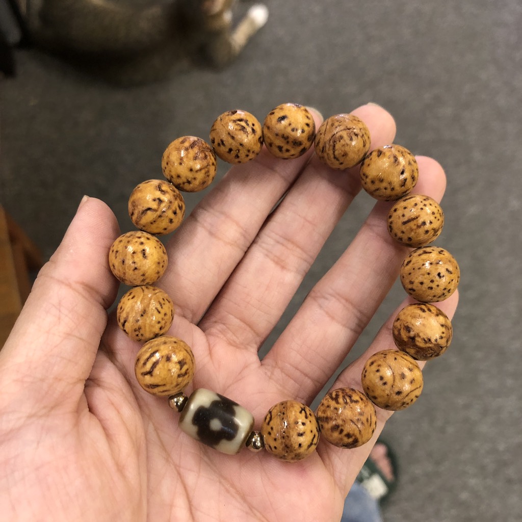 Hạt Bồ Đề Tam Bảo: Ý Nghĩa Tâm Linh và Mẫu Văn Khấn Linh Ứng