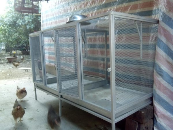 Ưu điểm của việc tận dụng kệ sắt v lỗ làm chuồng gà