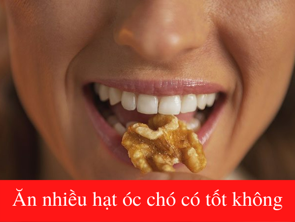 Ăn nhiều hạt óc chó có tốt không? Những nguy cơ tiềm ẩn cần lưu ý