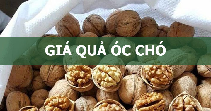 [CẬP NHẬT] Bảng giá hạt óc chó trên thị trường mới NHẤT