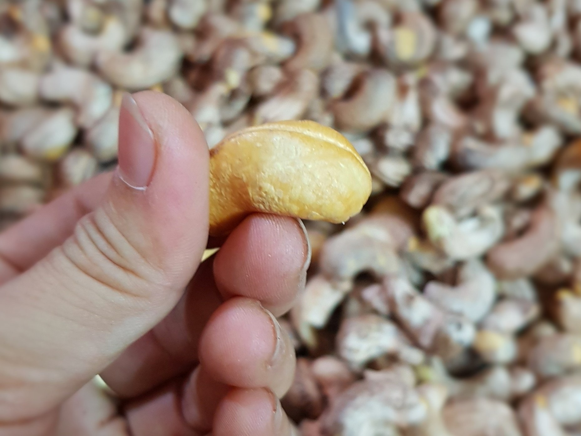 ăn hạt điều
