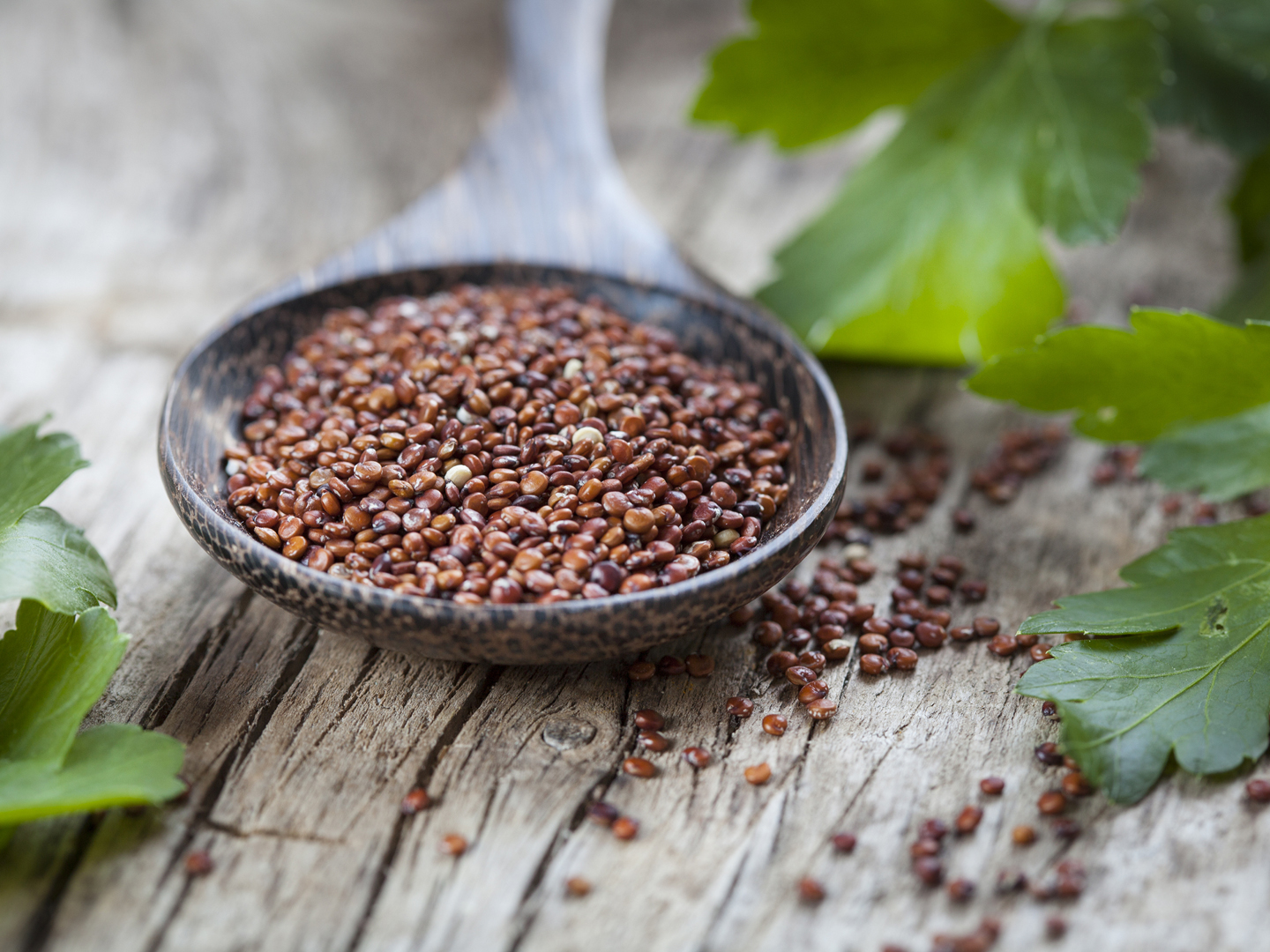 hạt quinoa đỏ