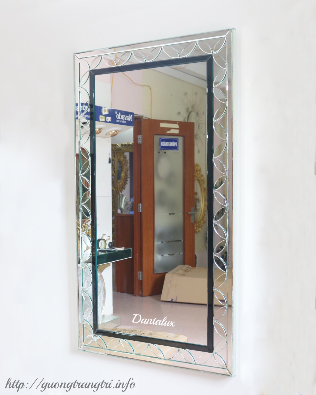 Gương soi toàn thân DAN01