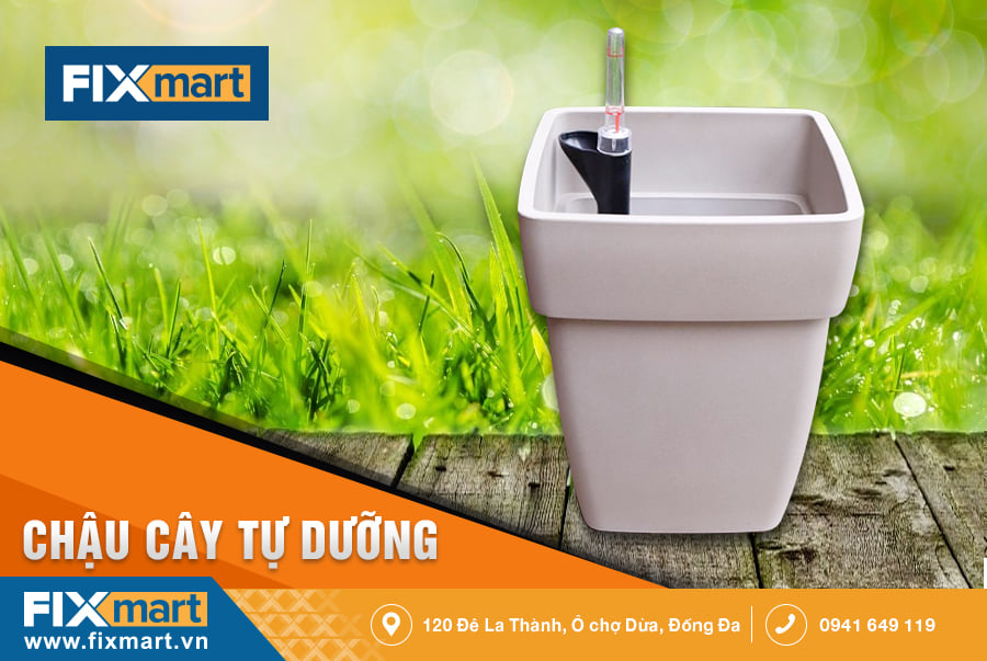 KHÁM PHÁ CÔNG NĂNG TUYỆT VỜI CỦA CHẬU CÂY TỰ DƯỠNG CÙNG FIXMART