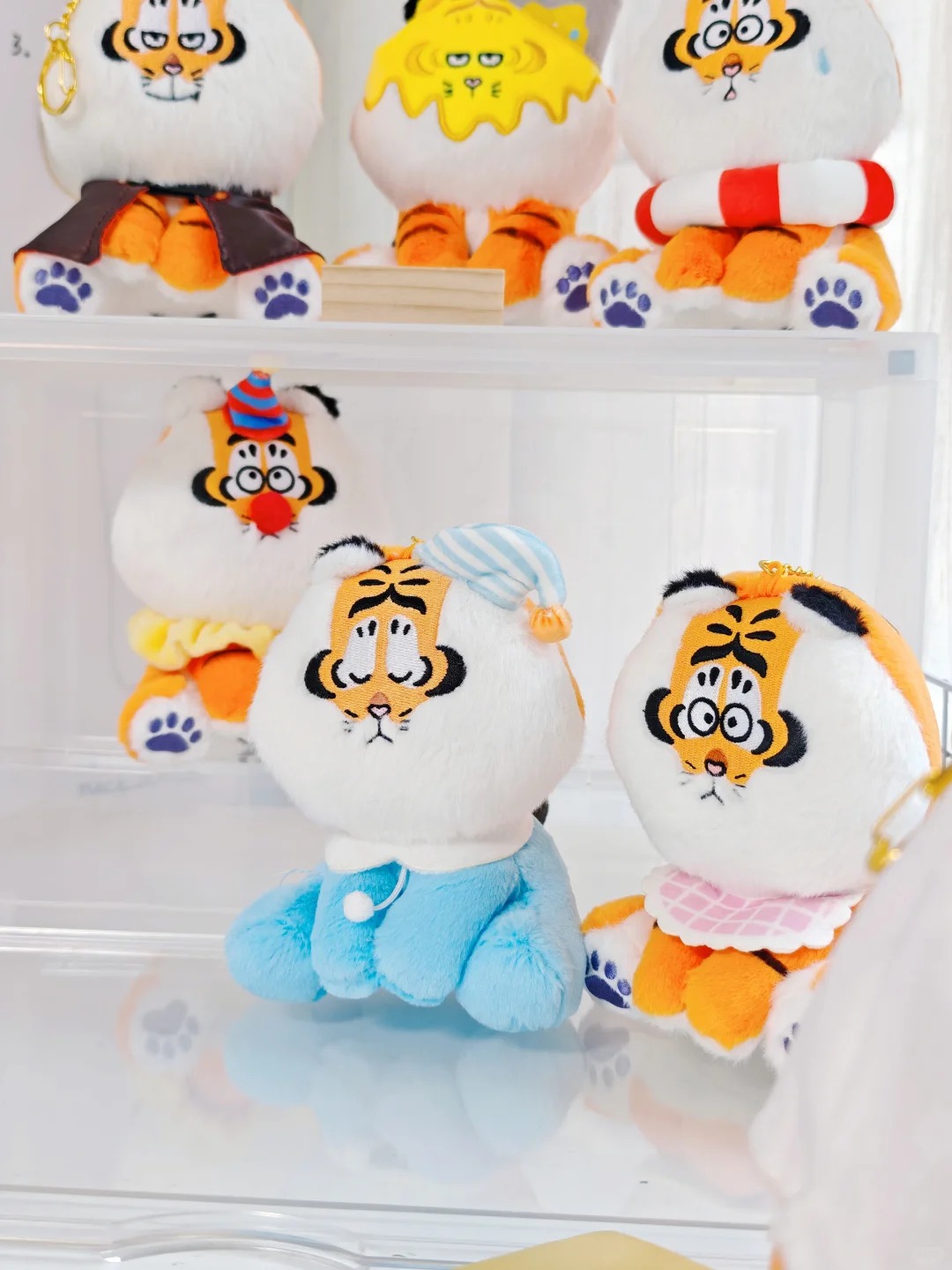 I'm not Fat Tiger- Versatile Series Plush Blind Box