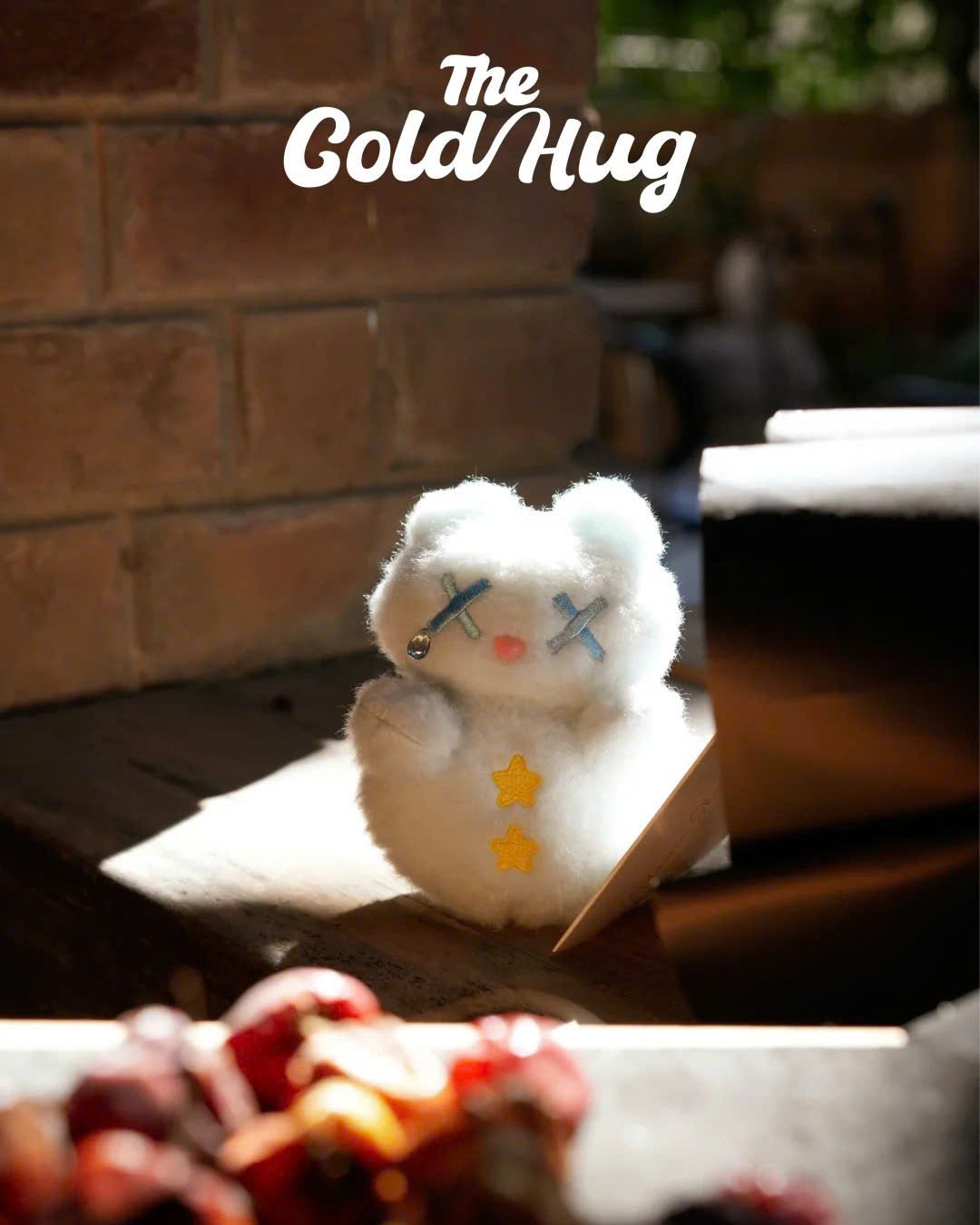 Shinwoo Warm Bear Hug Plush Blind Box Series