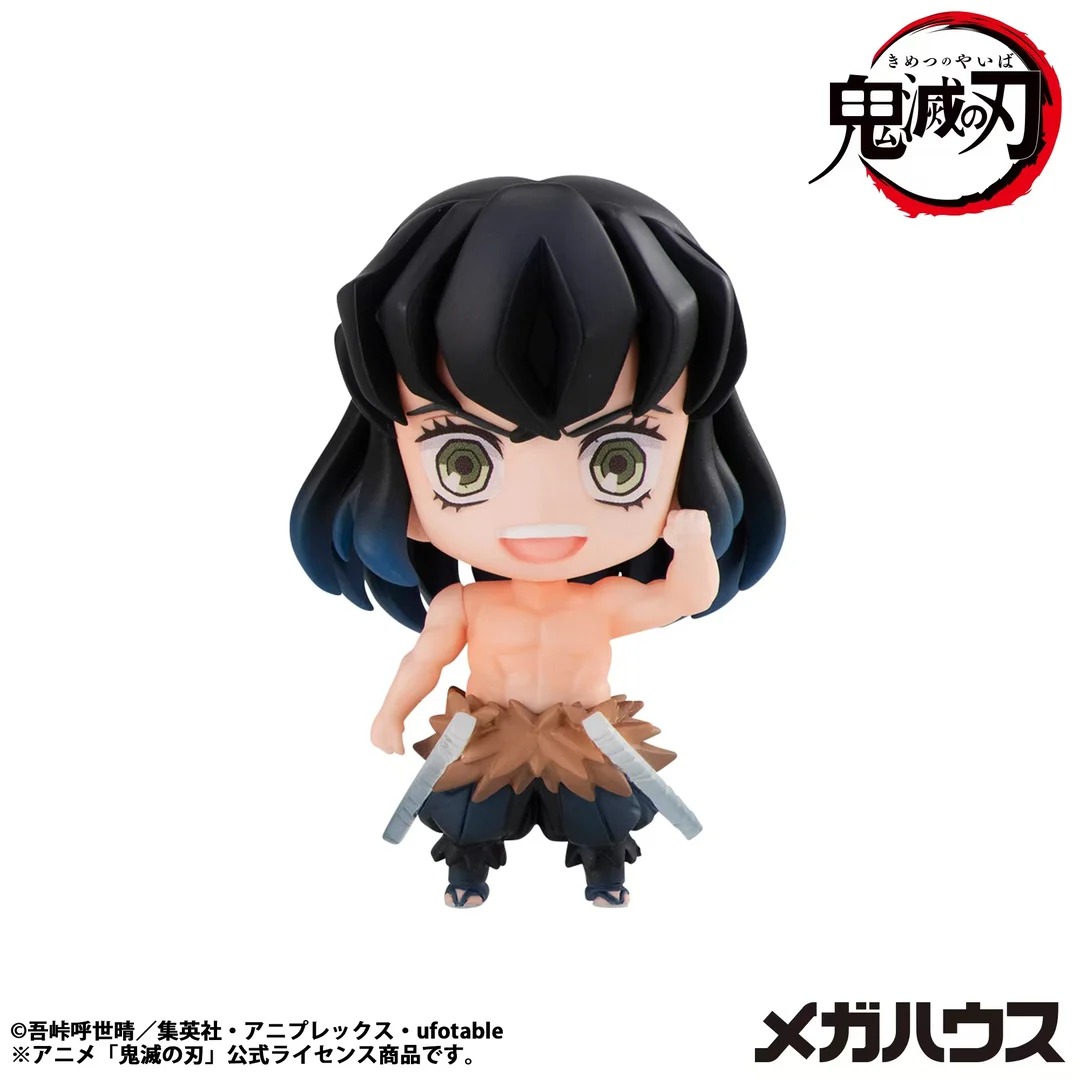 Demon Slayer: Kimetsu no Yaiba Tanjiro & Friends Collectible Blind Box Vol.1