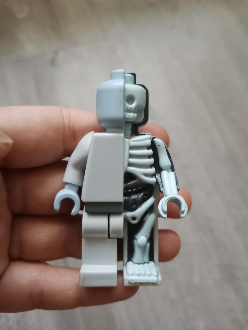 Micro Anatomic OG