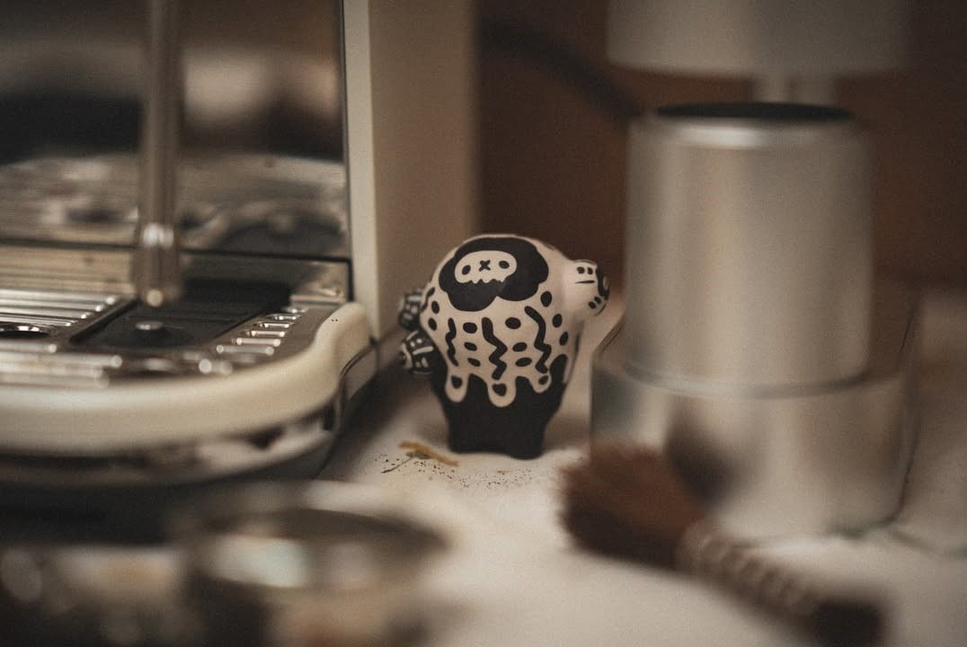 Robin Huang - Copiapoa Mudball Blind Box Series