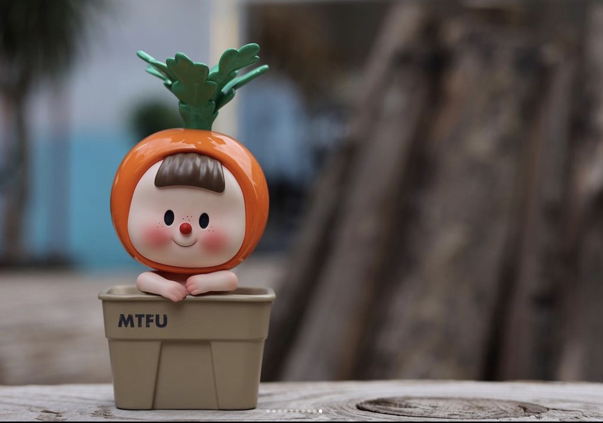 Carrot Bonsai DouDouMei