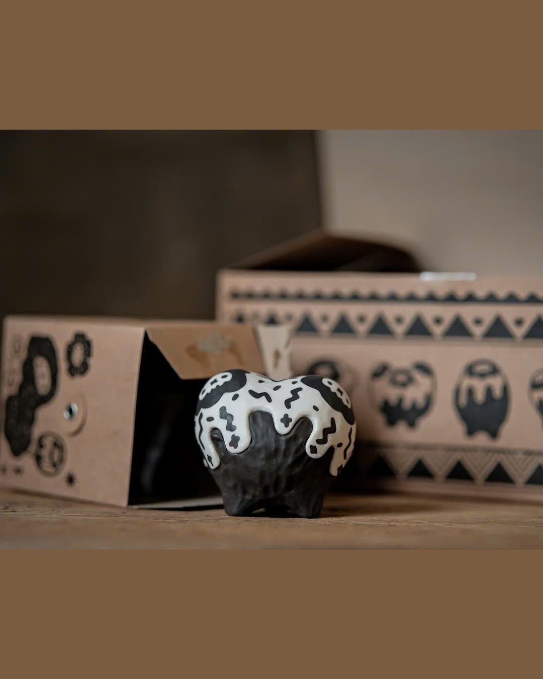 Robin Huang - Copiapoa Mudball Blind Box Series