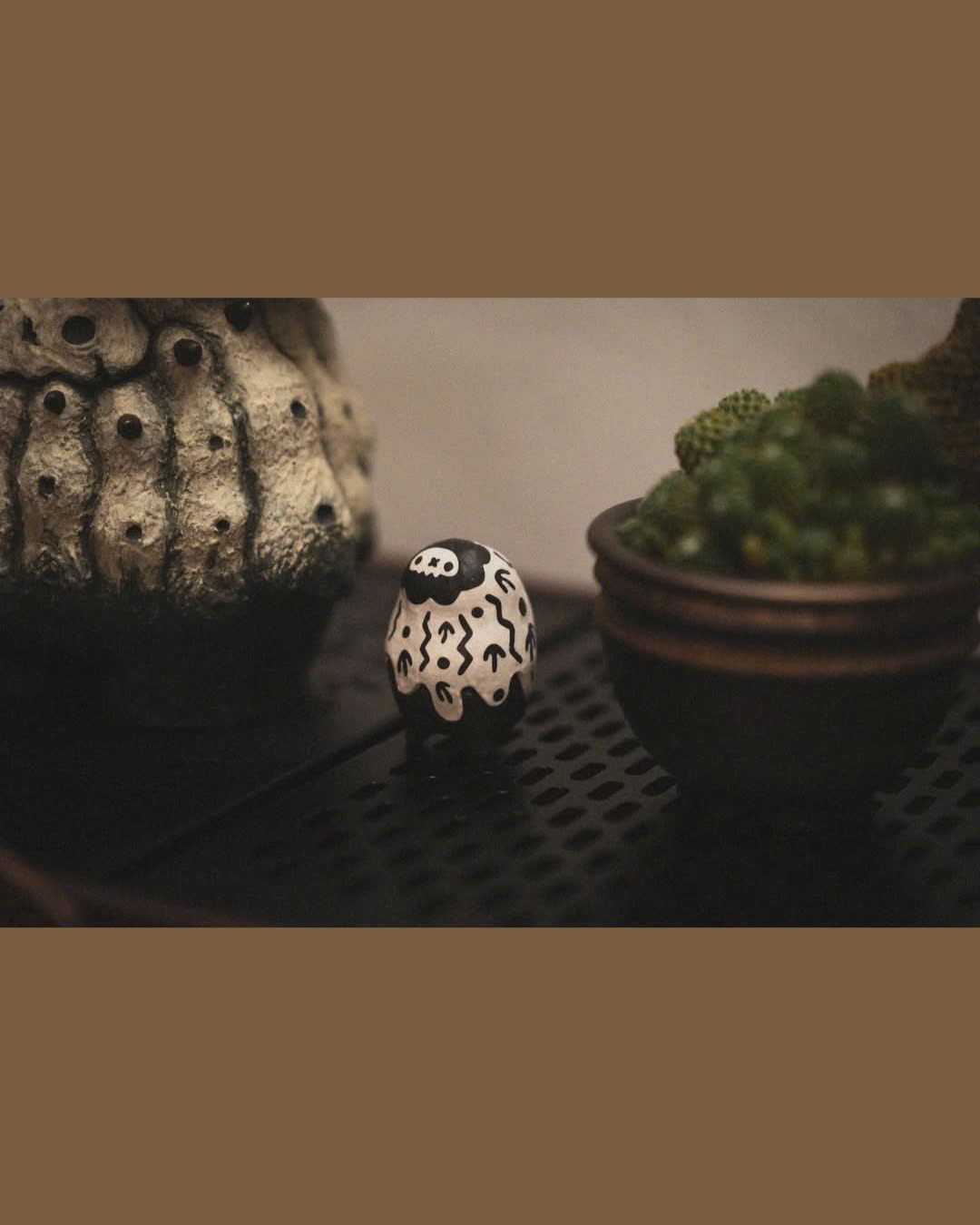 Robin Huang - Copiapoa Mudball Blind Box Series
