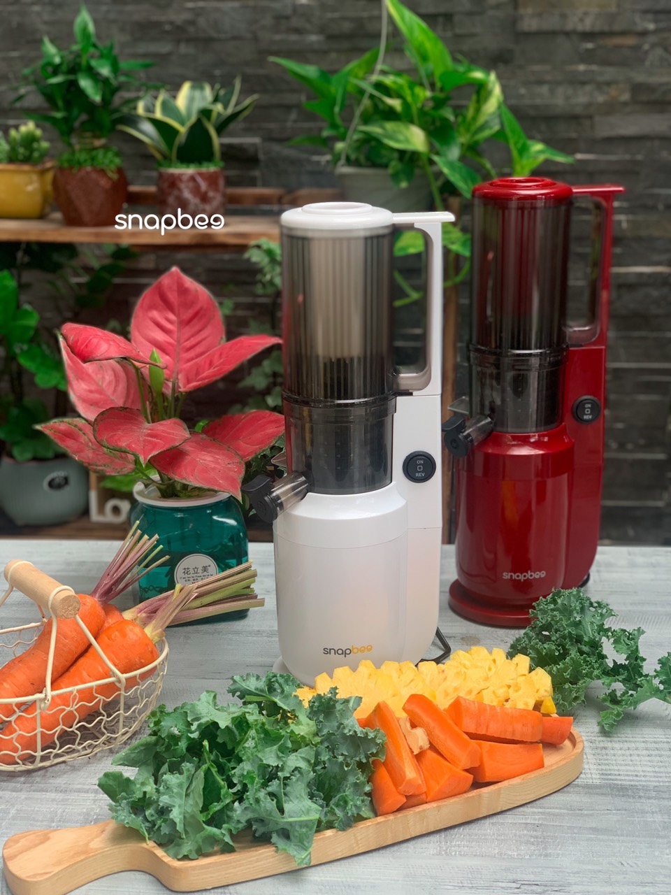Máy ép chậm snapbee SK-202US - Ép rau củ quả chuyên dụng