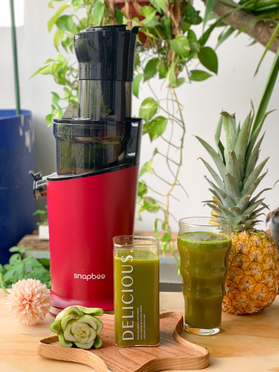 🍹Làm Nước Ép detox thải độc cơ thể cùng với máy ép hoa quả chậm Snapbee S300max