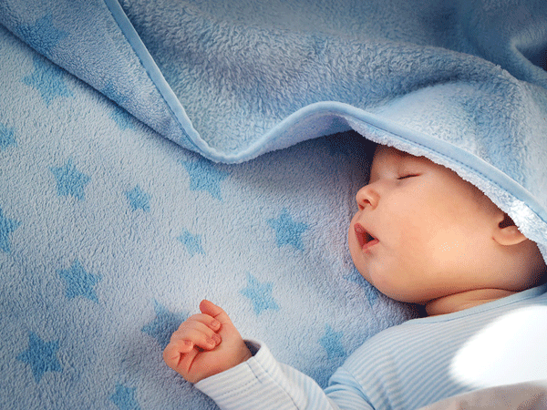 Momo Rabbit ru giấc ngủ đêm