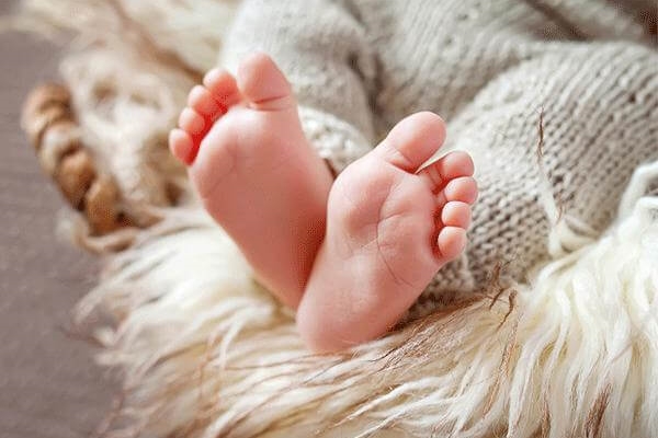 Giữ ấm cho bé cùng momo rabbit