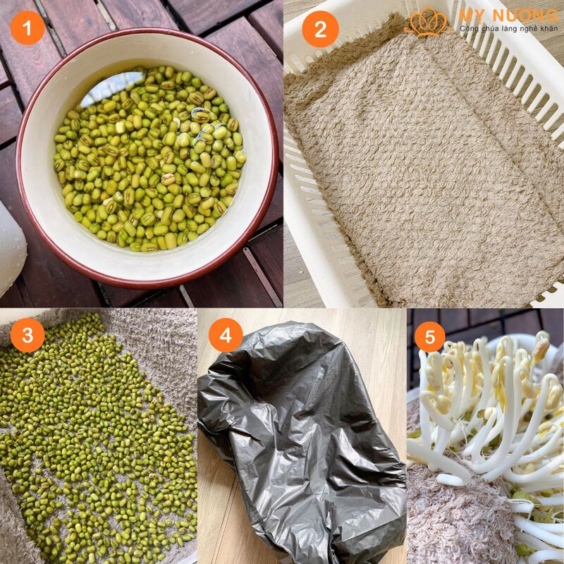 Cách ủ giá bằng khăn tại nhà