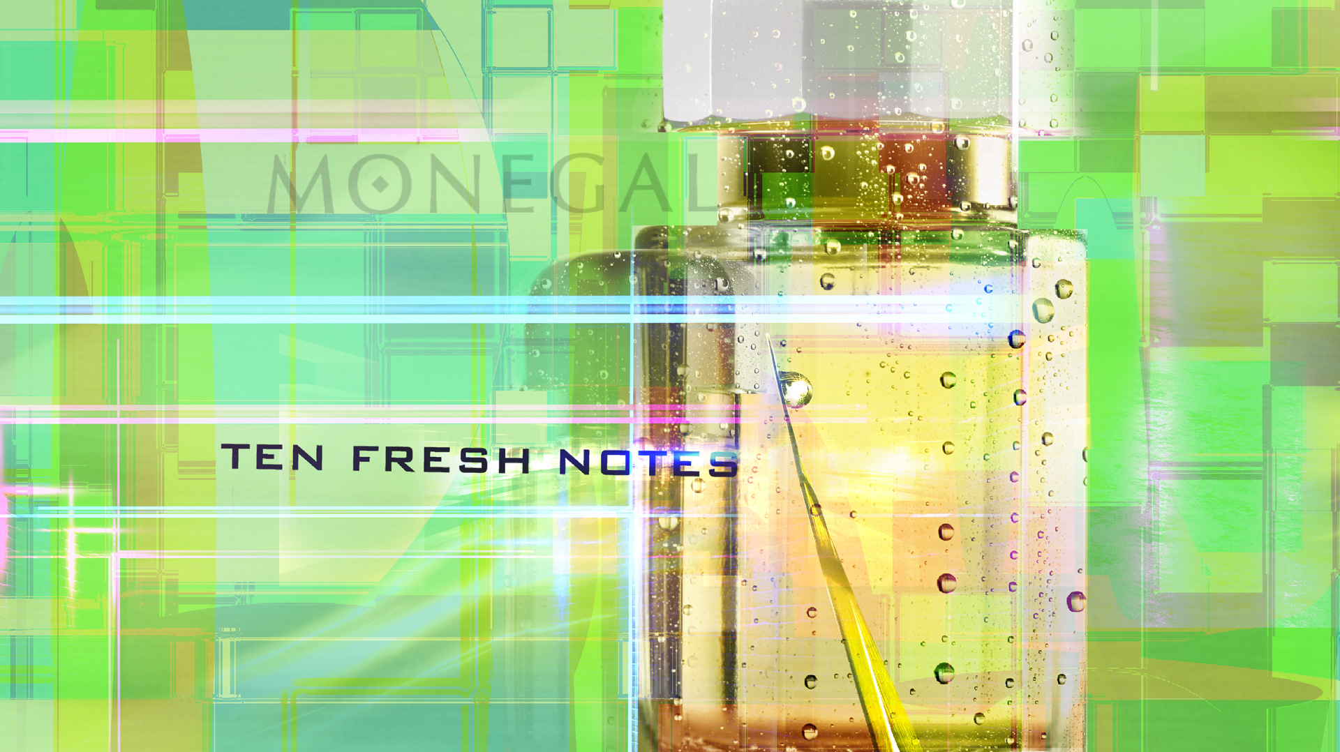 NƯỚC HOA RAMON MONEGAL TEN FRESH NOTES | ALAND