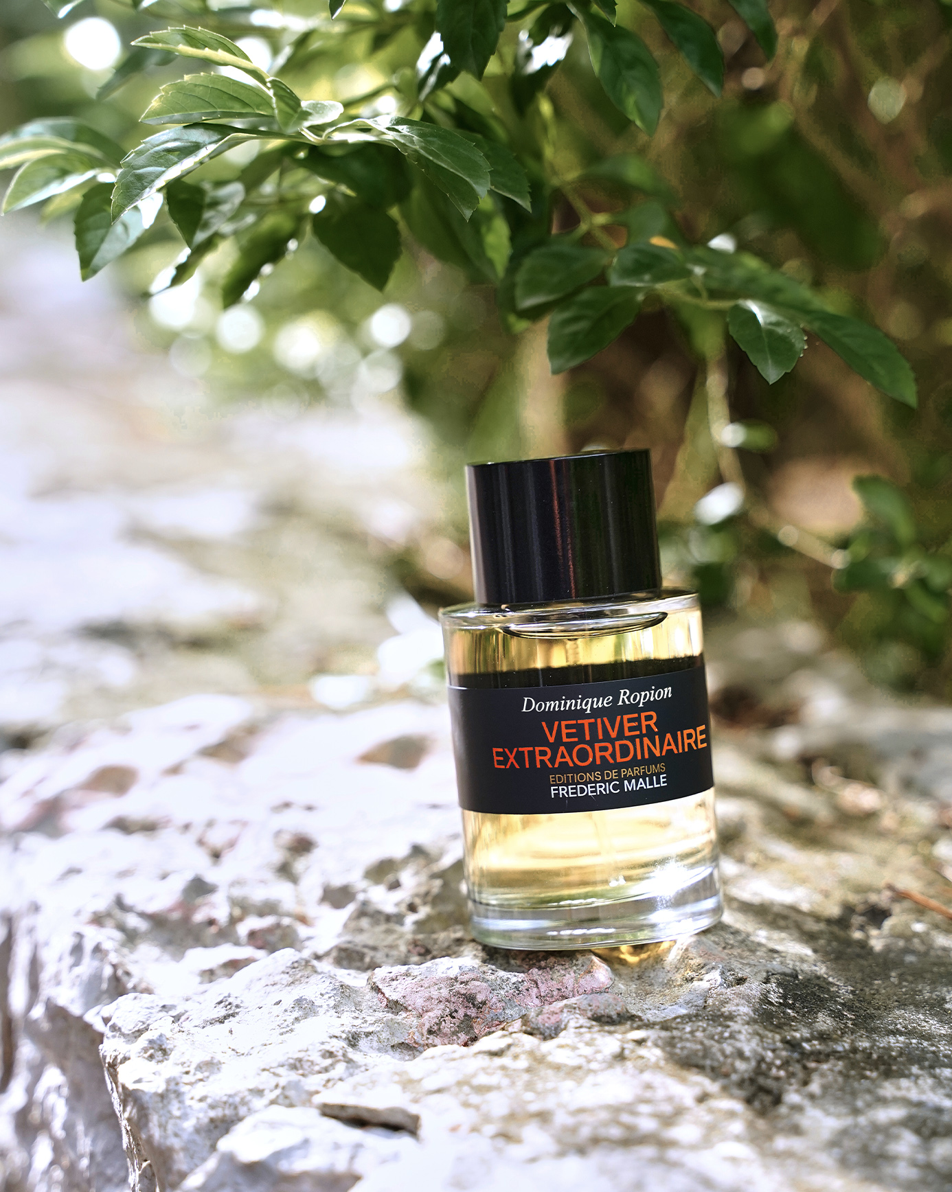 Vetiver Extraordinaire