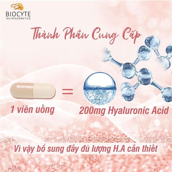 SỰ KHÁC NHAU GIỮA HA PHỔ RỘNG VÀ HA THÔNG THƯỜNG