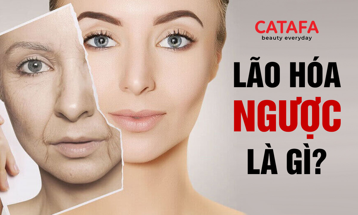 Hiện Tượng Lão Hóa Ngược: Nguyên Nhân và Cách Đảo Ngược Thời Gian Cho Làn Da