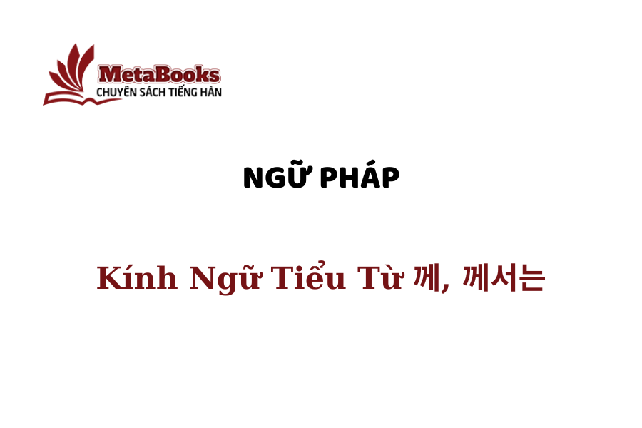 ngu-phap-so-cap-kinh-ngu-tieu-tu