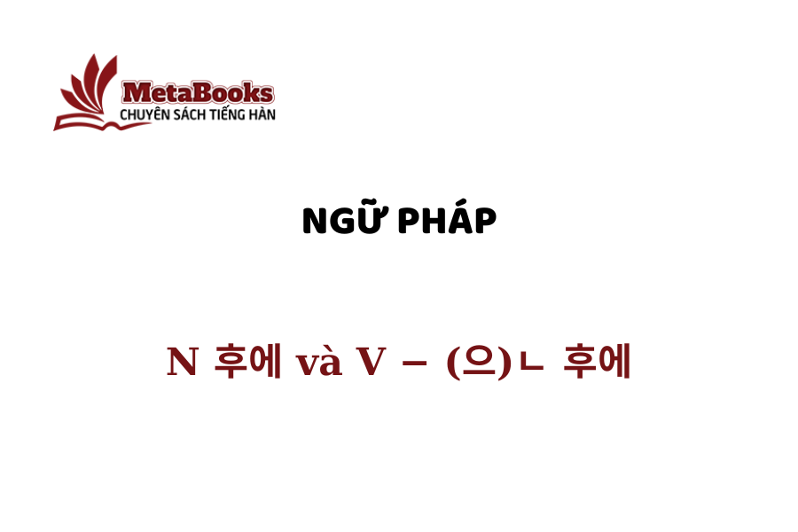 ngu-phap-so-cap-n-va-v