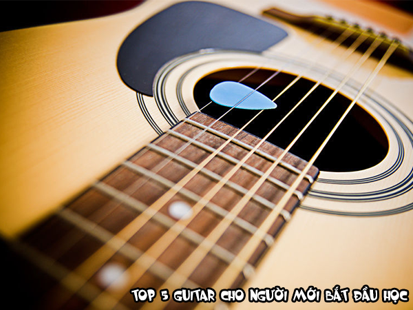 guitar-cho-nguoi-moi-bat-dau-hoc-top-5-guitar-hot-nhat-hien-nay