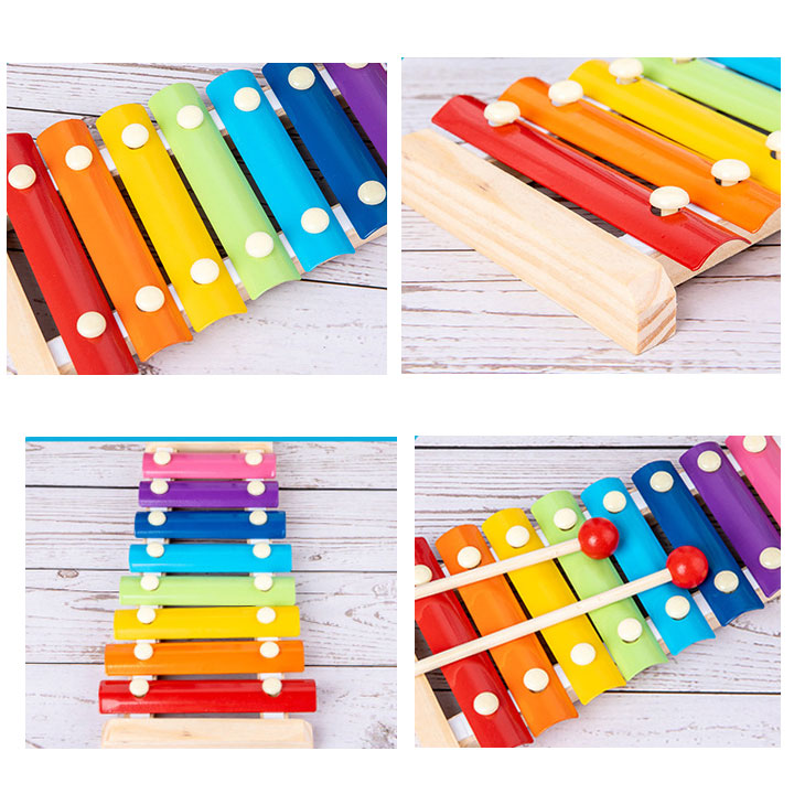 dan-xylophone-8-phim-xp-02-dan-go-xylophone-8-thanh