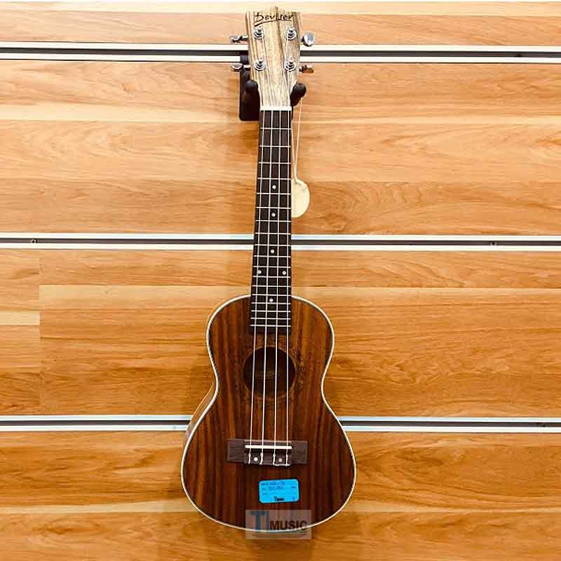 dan-ukulele-cocert-deviser-moi