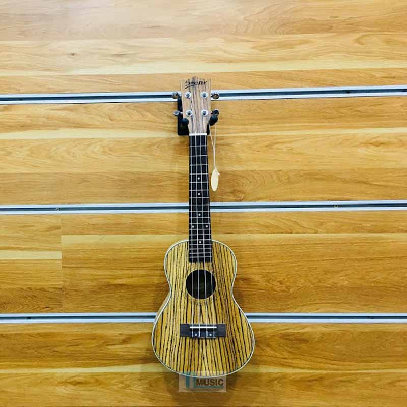 dan-ukulele-concert-deviser-moi