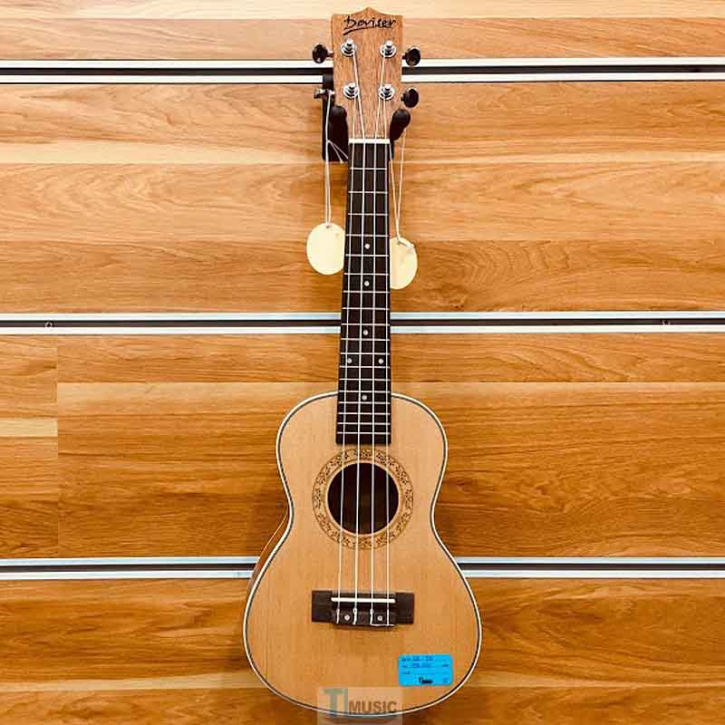 dan-ukulele-concert-deviser-moi
