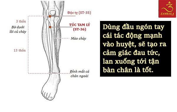 HUYỆT TÚC TAM LÝ