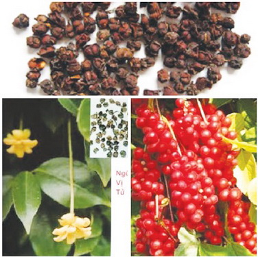 Bài thuốc trị chứng phế thận âm hư