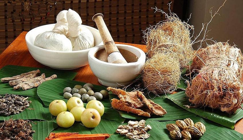 Thuốc Đông y trị ngứa âm đạo