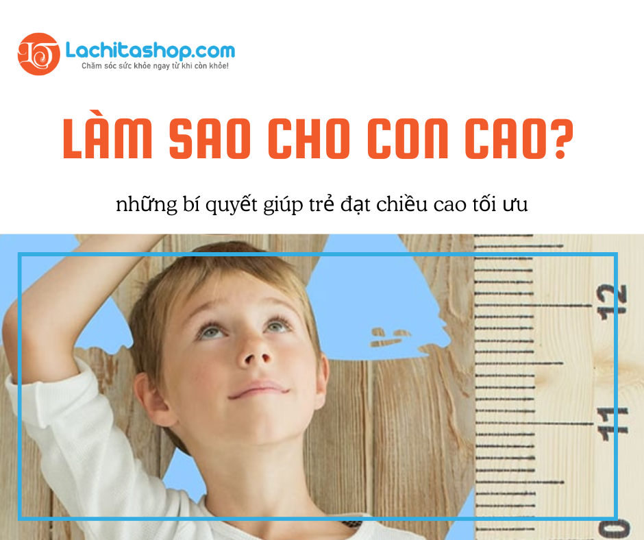 LÀM SAO CHO CON CAO?