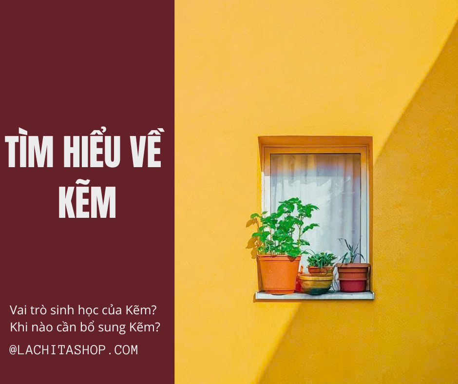 TÌM HIỂU VỀ KẼM