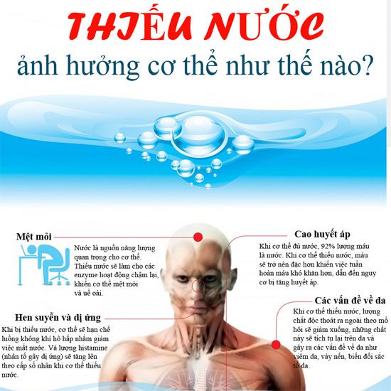 Khi thiếu nước, các hoạt động của cơ thể sẽ bị đình trệ