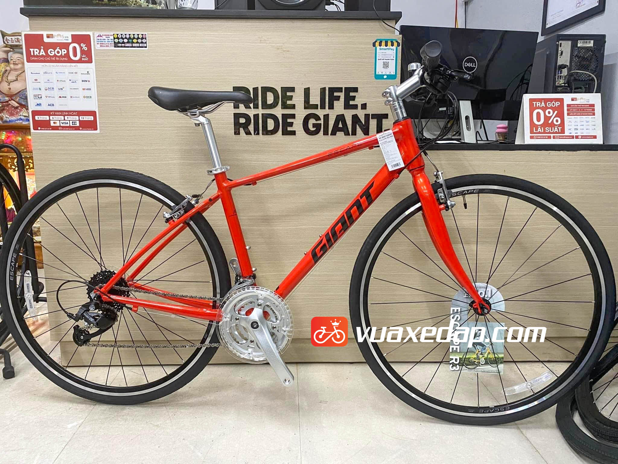 GIANT ESCAPE R3 MS 2022 (Nội địa Nhật Bản)