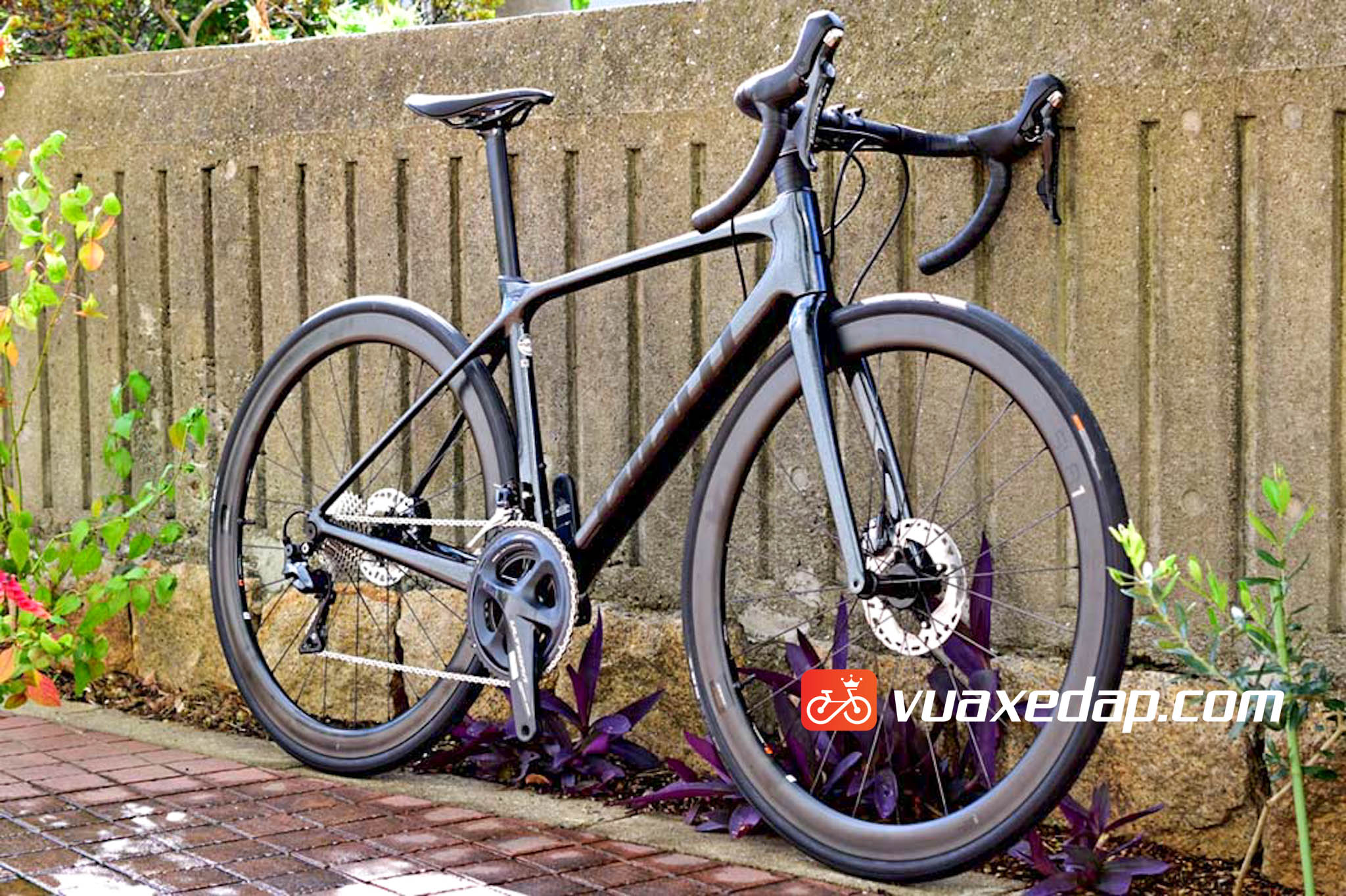 Xe đạp đua GIANT TCR ADV PRO D (2022) Vua Xe Đạp Xe đạp thể