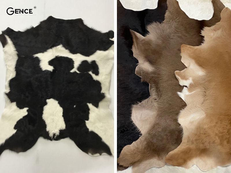 Calfskin được làm từ da bê
