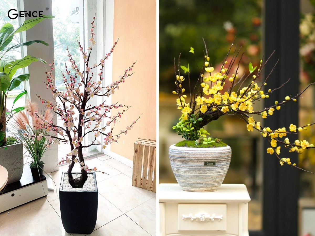 Cây cảnh là món quà tặng tết cho sếp