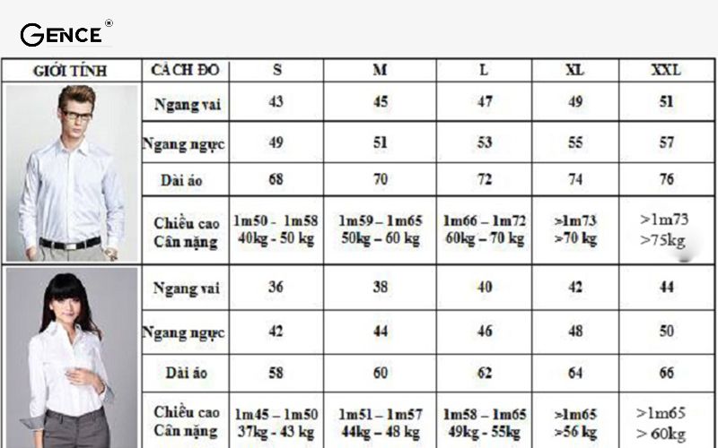 Chiều cao và cân nặng của nam và nữ size L