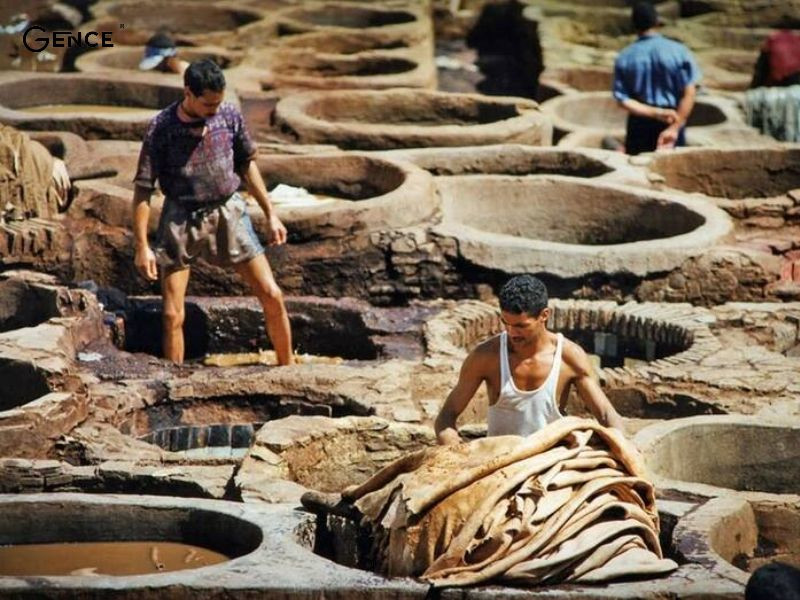 Ngâm da thật trong bể vôi