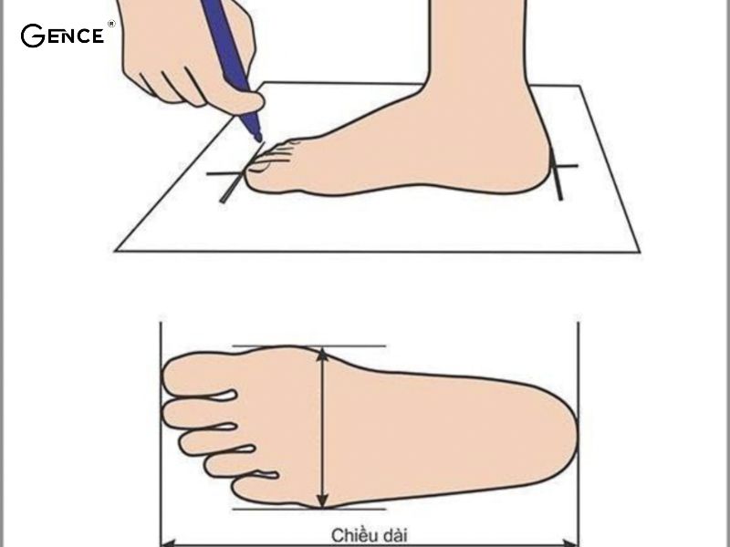 Chuẩn bị đủ dụng cụ để xác định size giày