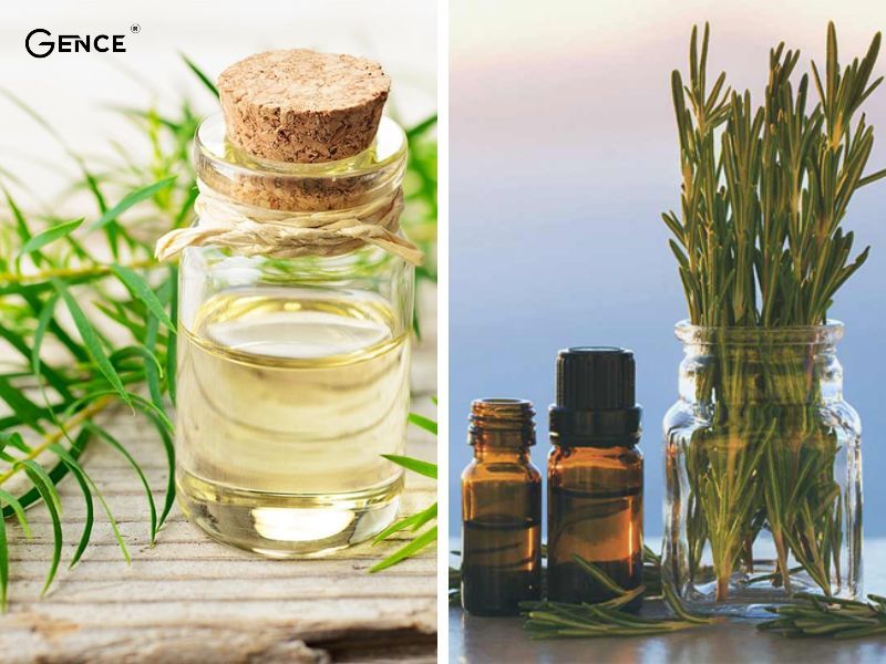 Khử mùi trên túi da với tinh dầu vô cùng hiệu quả