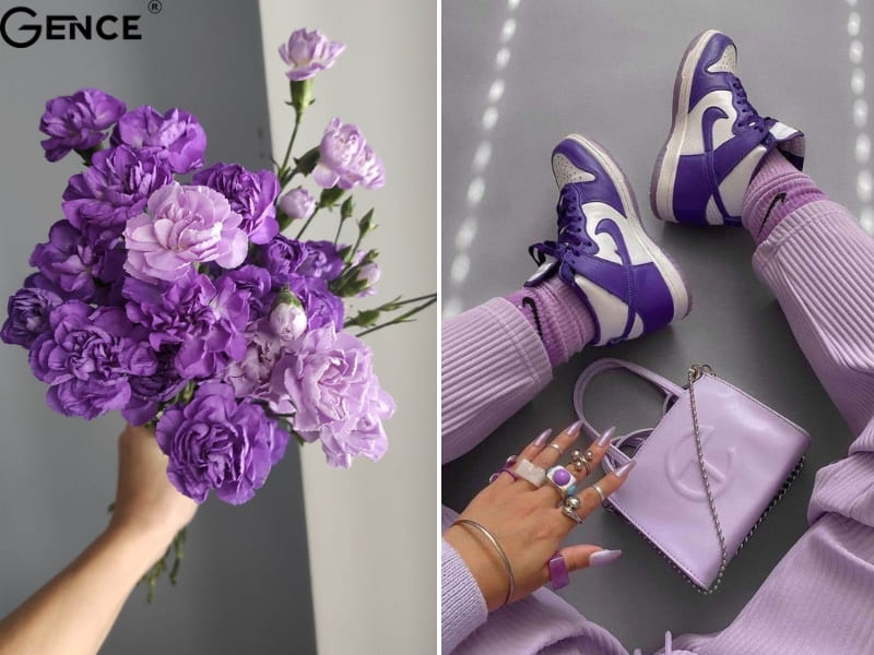 Màu tím được ứng dụng nhiều thời trang và cuộc sống để mang đến nhiều may mắn