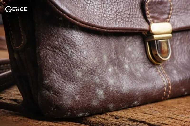 Sản phẩm da bò Nappa dễ bị mốc khi gặp thời tiết ẩm ướt