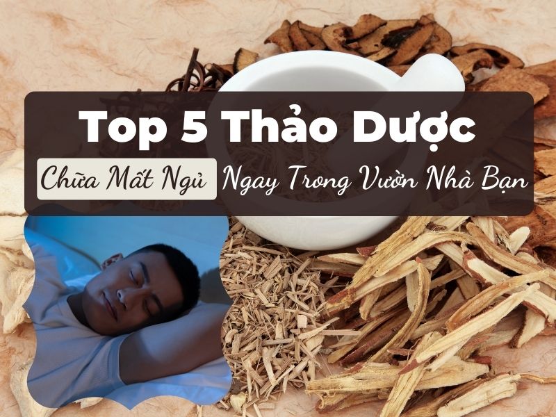 Top 5 Thảo Dược Chữa Mất Ngủ Ngay Trong Vườn Nhà Bạn