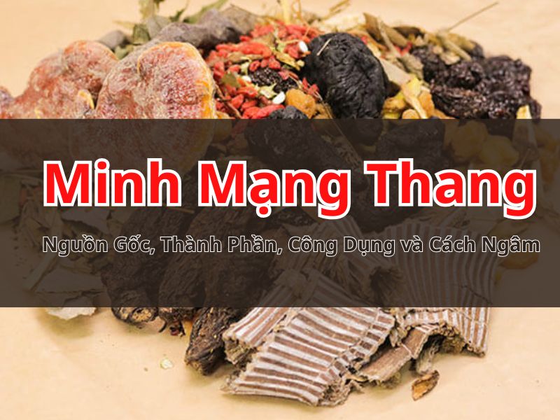 Tất tật về Minh Mạng Thang: Nguồn Gốc, Thành Phần, Công Dụng và Cách Ngâm